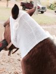 PET-NET Horse Head over Ears