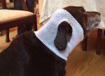 PET-NET Dog Head over ears